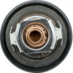 Motorad Θερμοστάτης, Ψυκτικό Υγρό - 531-82K