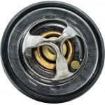 Motorad Θερμοστάτης, Ψυκτικό Υγρό - 531-82K