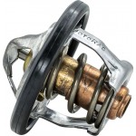 Motorad Θερμοστάτης, Ψυκτικό Υγρό - 531-82K