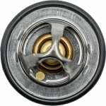 Motorad Θερμοστάτης, Ψυκτικό Υγρό - 531-82K