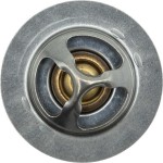 Motorad Θερμοστάτης, Ψυκτικό Υγρό - 546-82K