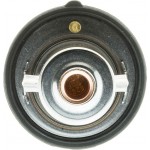 Motorad Θερμοστάτης, Ψυκτικό Υγρό - 620-82K