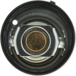 Motorad Θερμοστάτης, Ψυκτικό Υγρό - 657-95K