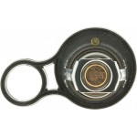 Motorad Θερμοστάτης, Ψυκτικό Υγρό - 718-91K