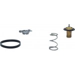 Motorad Θερμοστάτης, Ψυκτικό Υγρό - 743-88K