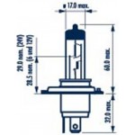 Narva Λυχνία, Μεγάλα Φώτα - 488923000