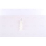 Nissens Αφυγραντήρας, σύστ. Κλιματισμού - 95357