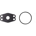 Nissens Βαλβίδα Agr - 98173