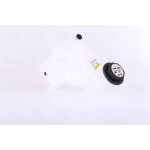 Nissens Δοχείο διαστολής, Ψυκτικό Υγρό - 996166