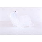 Nissens Δοχείο διαστολής, Ψυκτικό Υγρό - 996244