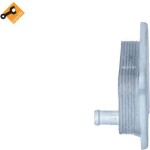 Nrf Ψυγείο λαδιού, Λάδι Κινητήρα - 31183