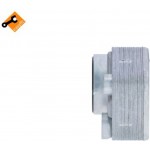 Nrf Ψυγείο λαδιού, Λάδι Κινητήρα - 31221