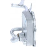 Nrf Ψυγείο λαδιού, Λάδι Κινητήρα - 31261