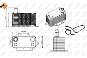 Nrf Ψυγείο λαδιού, Λάδι Κινητήρα - 31281