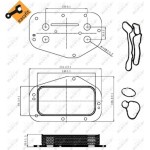 Nrf Ψυγείο λαδιού, Λάδι Κινητήρα - 31314