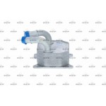 Nrf Ψυγείο λαδιού, Λάδι Κινητήρα - 31771