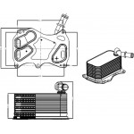 Nrf Ψυγείο λαδιού, Λάδι Κινητήρα - 31839