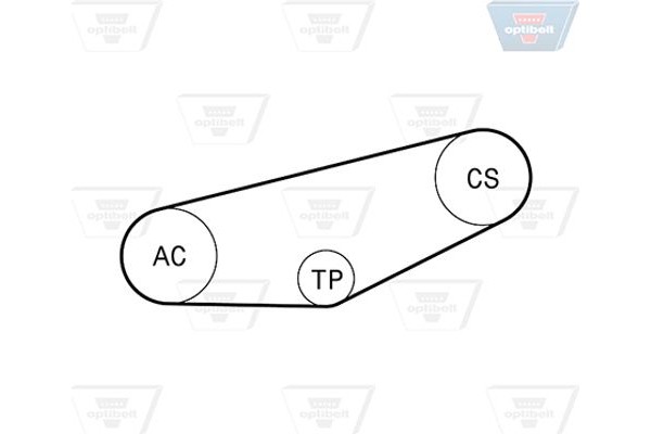Optibelt Σετ Ιμάντων poly-V - 4 Pk 855KT1