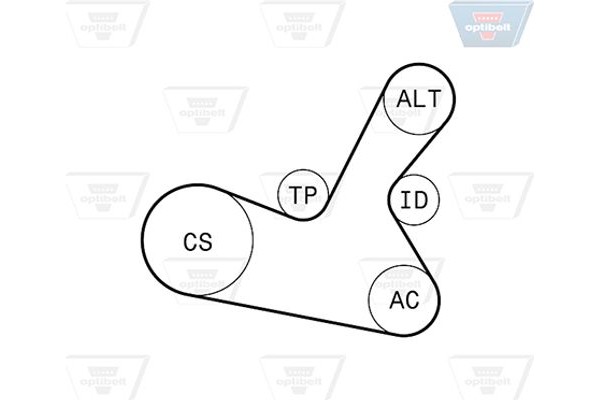 Optibelt Σετ Ιμάντων poly-V - 5 Pk 1300KT1