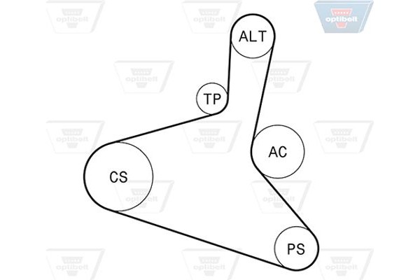 Optibelt Σετ Ιμάντων poly-V - 6 Dpk 1195KT1