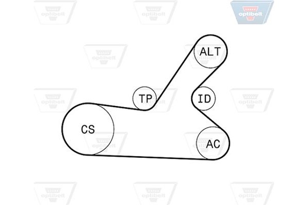 Optibelt Σετ Ιμάντων poly-V - 6 Pk 1145KT2