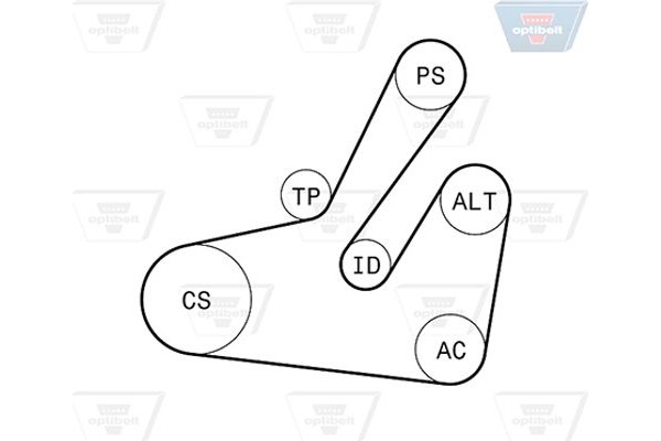Optibelt Σετ Ιμάντων poly-V - 6 Pk 1795KT2