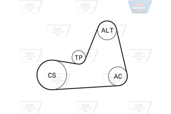 Optibelt Σετ Ιμάντων poly-V - 6 Pk 1100KT1