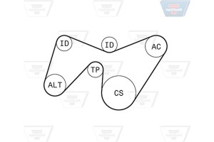 Optibelt Σετ Ιμάντων poly-V - 6 Pk 1642KT1