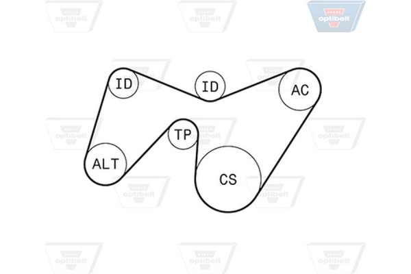 Optibelt Σετ Ιμάντων poly-V - 6 Pk 1642KT1