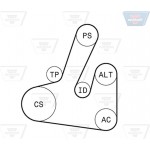 Optibelt Σετ Ιμάντων poly-V - 6 Pk 1705KT1