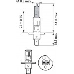 Philips Λυχνία, Μεγάλα Φώτα - 12258WVUSM