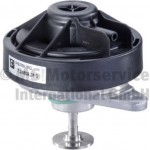 Pierburg Βαλβίδα Agr - 7.24809.28.0