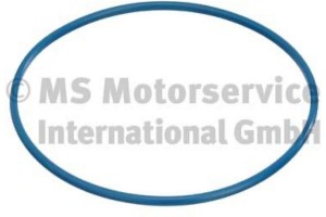 Pierburg Τσιμούχα, Τάπα Ρεζερβουάρ Καυσίμων - 3.32038.00.0