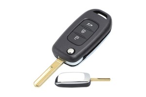 Renault Ανταλλακτικο Καλυμμα 3 Κουμπιων Με Λαμα Dga - 1 ΤΕΜ.