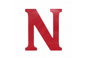 Race Axion - Σήμα Ν Νέων Οδηγών Αυτοκόλλητο Με Ματ Πλαστικοποίηση Για Εξωτερική Χρήση Σε Διαστάσεις 13 X 11,2 Cm - 1 Τεμ. (Ν20155-RXCCA)