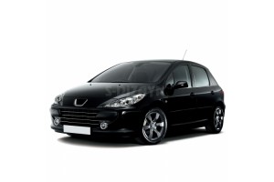 Peugeot 307 5D HB/SW 01-08 Trim Παραθυρων 4ΤΕΜ ΑΝΟΞ.ΑΤΣΑΛΙ Χρωμιο