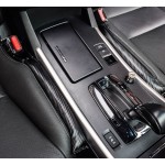 Πλαϊνή Μπάρα για Καθίσματα Αυτοκινήτου Carbon Fiat 1τμχ