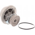 Skf Αντλία νερού, Ψυγείο Κινητήρα - Vkpc 85211