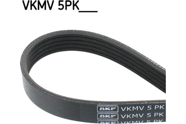 Skf Ιμάντας poly-V - Vkmv 5PK1646