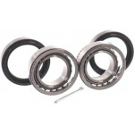 Skf Σετ Ρουλεμάν Τροχών - Vkba 1366