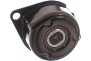 Skf Τεντωτήρας ιμάντα, Ιμάντας poly-V - Vkm 31030