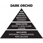 Αρωματικό Χώρου Με Sticks - Diffuser Themagio Dark Orchid 100ml 1 Τεμάχιο