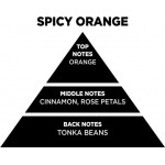Αρωματικό Χώρου Με Sticks - Diffuser Themagio Spicy Orange 200ml 1 Τεμάχιο Αρωματικό Χώρου Με Sticks - Diffuser Themagio Spicy Orange 200ml 1 Τεμάχιο