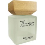 Αρωματικό Χώρου Με Sticks - Diffuser Themagio Salty Caramel 100ml 1 Τεμάχιο Αρωματικό Χώρου Με Sticks - Diffuser Themagio Salty Caramel 100ml 1 Τεμάχιο