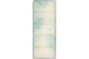 Αρωματικό Wax Melt Σόγιας Themagio Green Apple & Cinnamon 55gr 1 Τεμάχιο