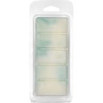 Αρωματικό Wax Melt Σόγιας Themagio Green Apple & Cinnamon 55gr 1 Τεμάχιο Αρωματικό Wax Melt Σόγιας Themagio Green Apple & Cinnamon 55gr 1 Τεμάχιο