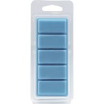 Αρωματικό Wax Melt Σόγιας Themagio Basic Instict 55gr 1 Τεμάχιο