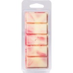 Αρωματικό Wax Melt Σόγιας Themagio Spicy Orange 55gr 1 Τεμάχιο Αρωματικό Wax Melt Σόγιας Themagio Spicy Orange 55gr 1 Τεμάχιο