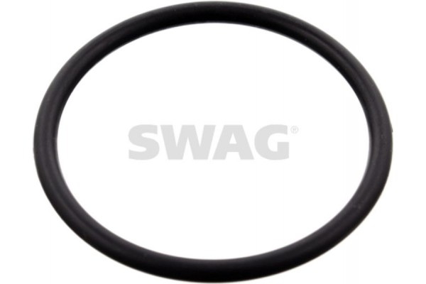 Swag Φλάντζα, Περίβλημα Θερμοστάτη - 10 10 0077