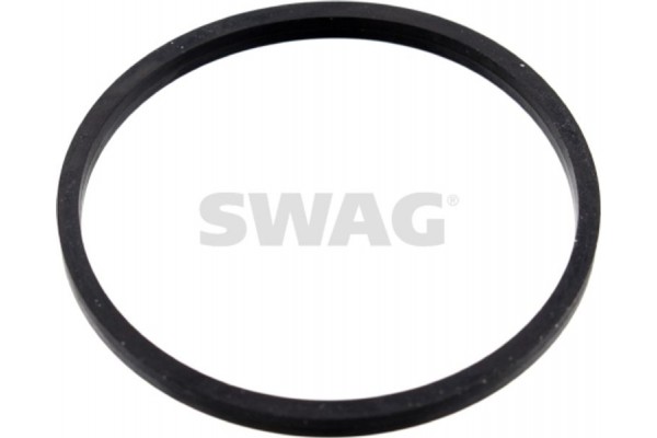 Swag Φλάντζα, Θερμοστάτης - 10 10 0055